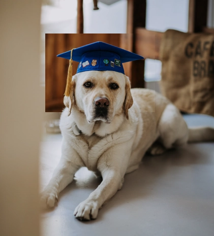 Geschlossen-Weiterbildung-Kamasega-2026